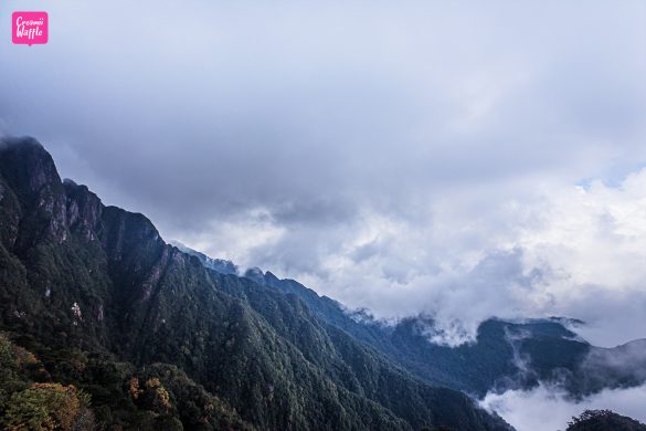 Sun World Fansipan Legend Cable Car Vietnam