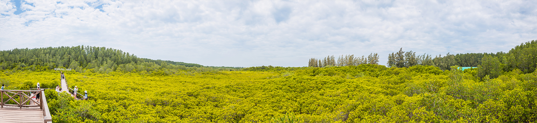 Panorama ทุ่งโปรงทอง ระยอง