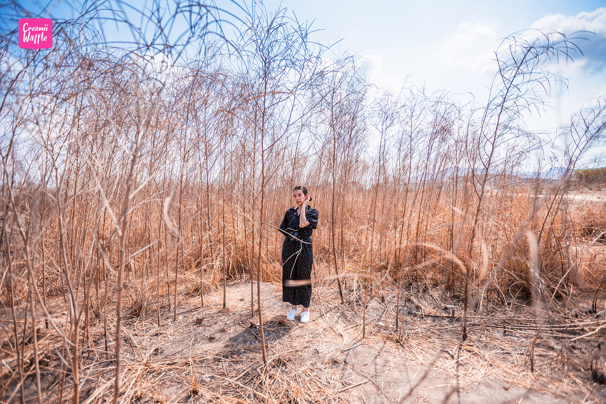 เหมืองหินเก่า คีรี