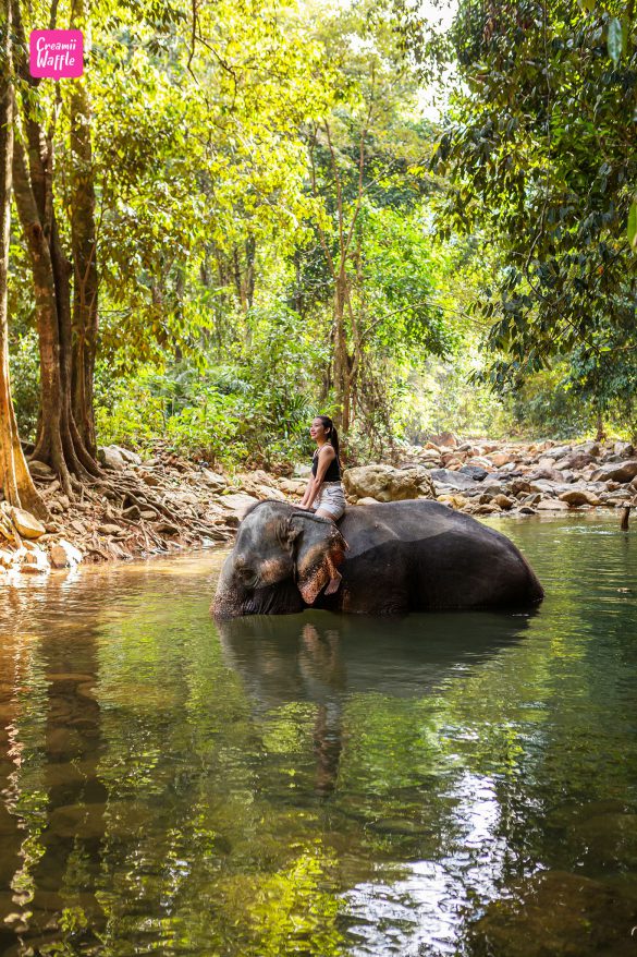 บ้านควาญช้าง - รีวิวสถานที่ท่องเที่ยว เกาะช้าง