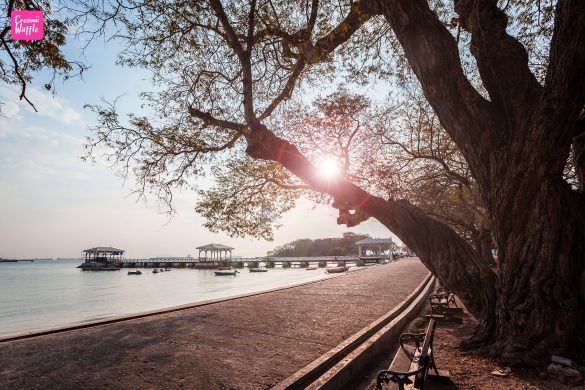 พิพิธภัณฑ์พระจุฑาธุชราชฐาน เกาะสีชัง ชลบุรี