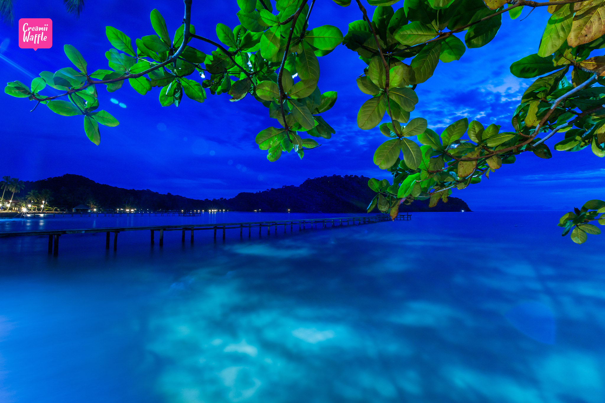 เกาะกูด รีสอร์ท koh kood resort กลางคืน