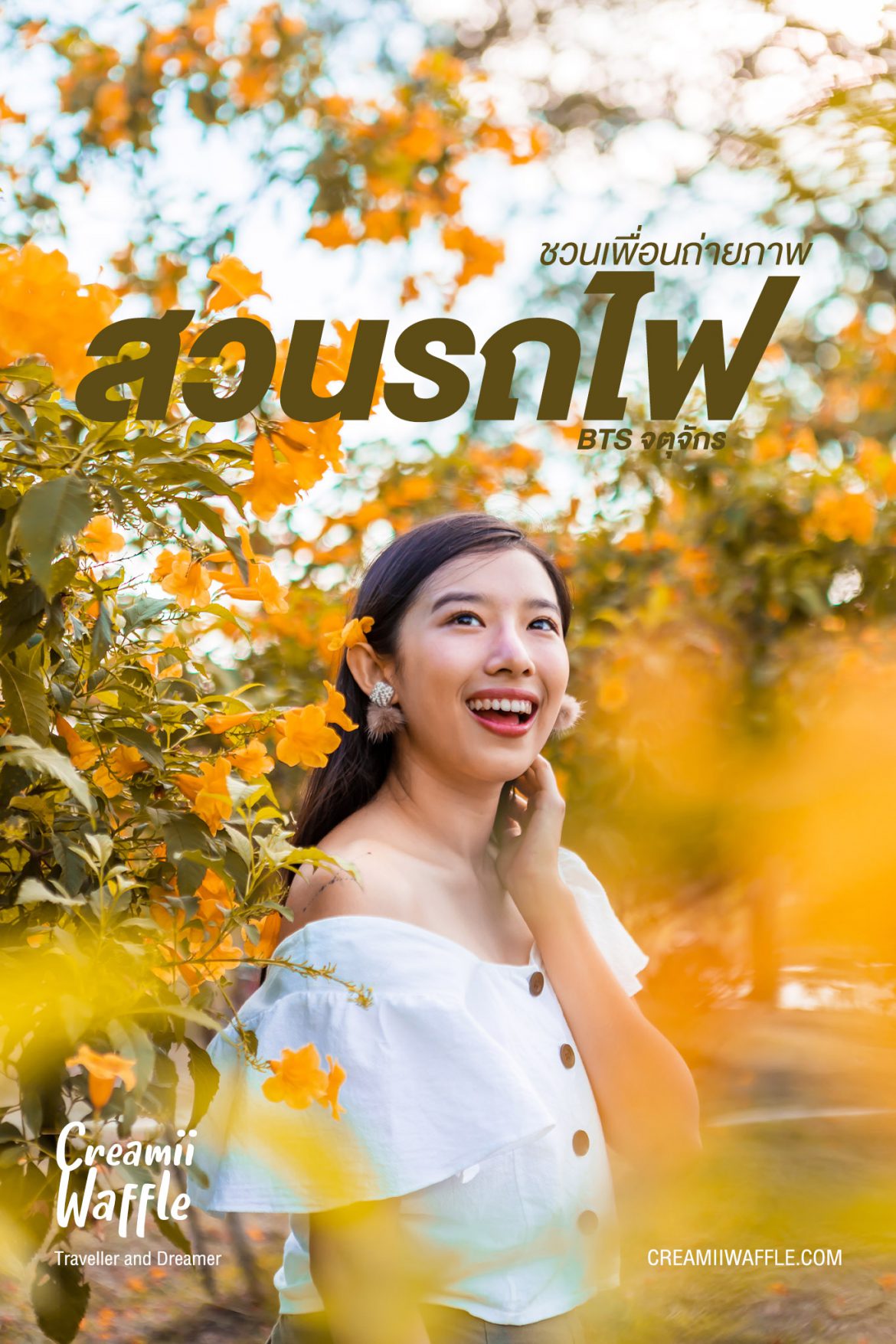 สวนรถไฟ สวนรถไฟ