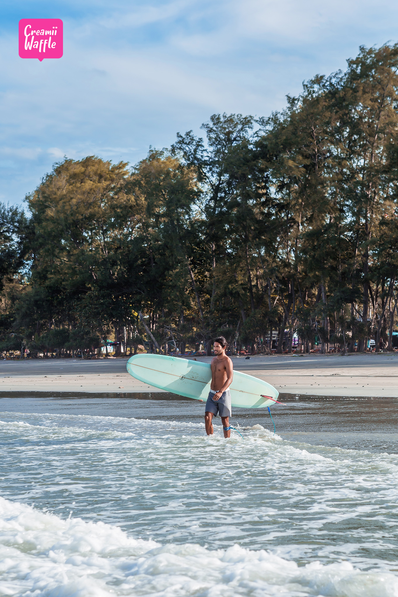 Surfer's Holiday