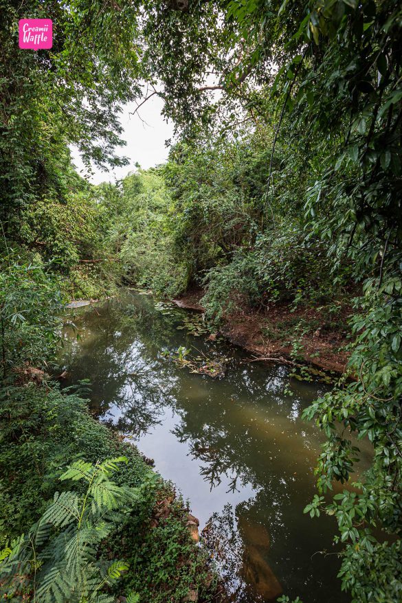 The Creek Resort at Khaoyai เดอะ ครีก รีสอร์ท เขาใหญ่ คาเฟ่ริมน้ำ