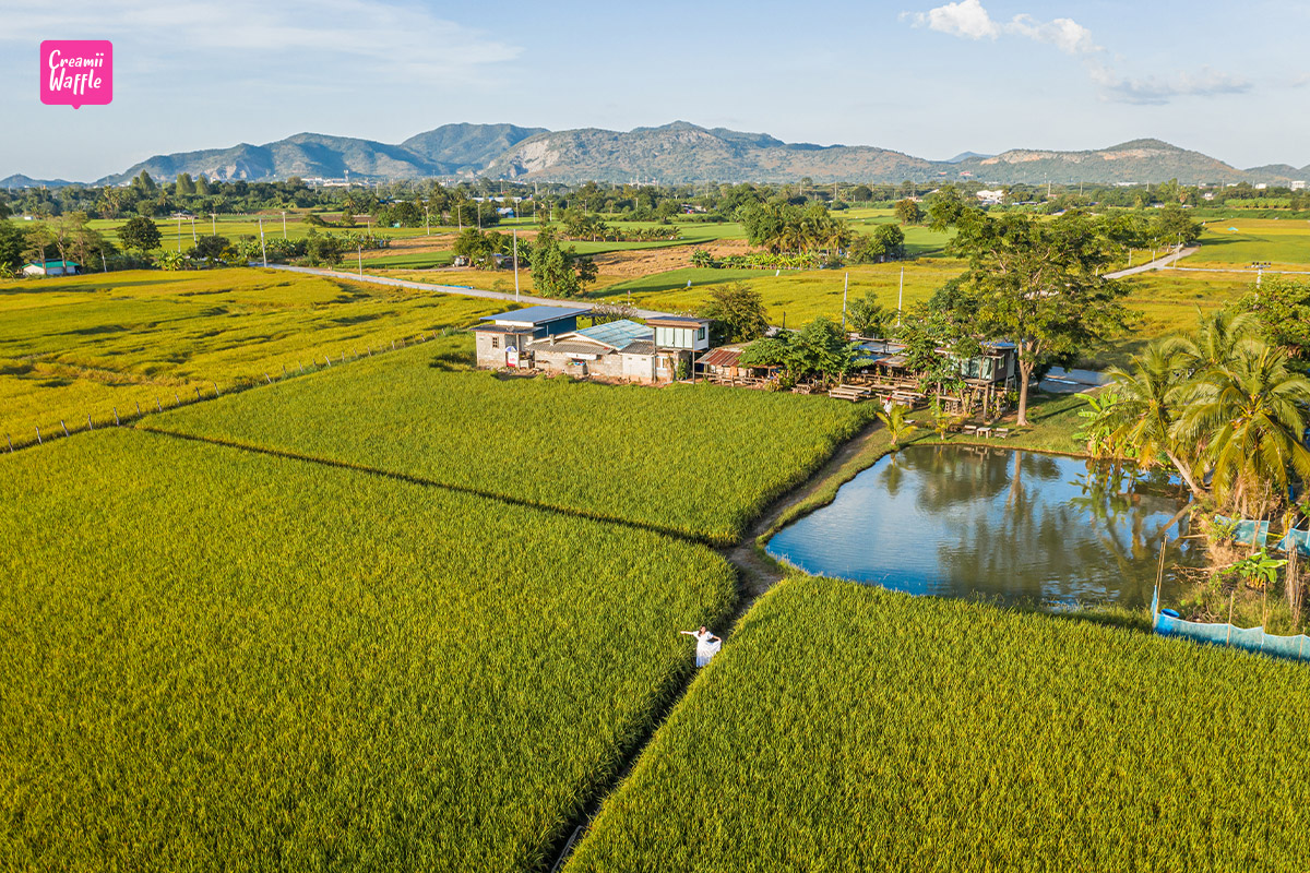 คาเฟ่กาญจนบุรี พิกัดฮิต ระเบียงนา คาเฟ่