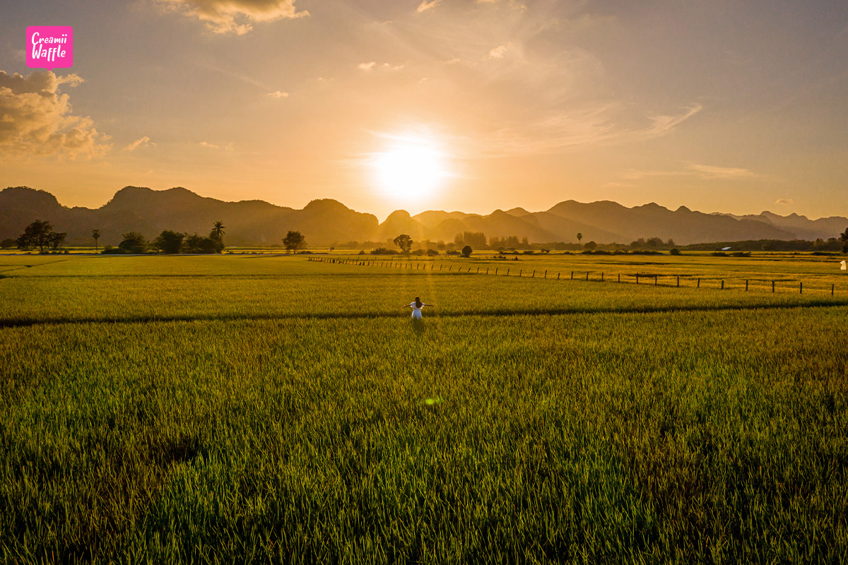 เช็คอินฟินเมืองกาญจน์ ระเบียงนา คาเฟ่