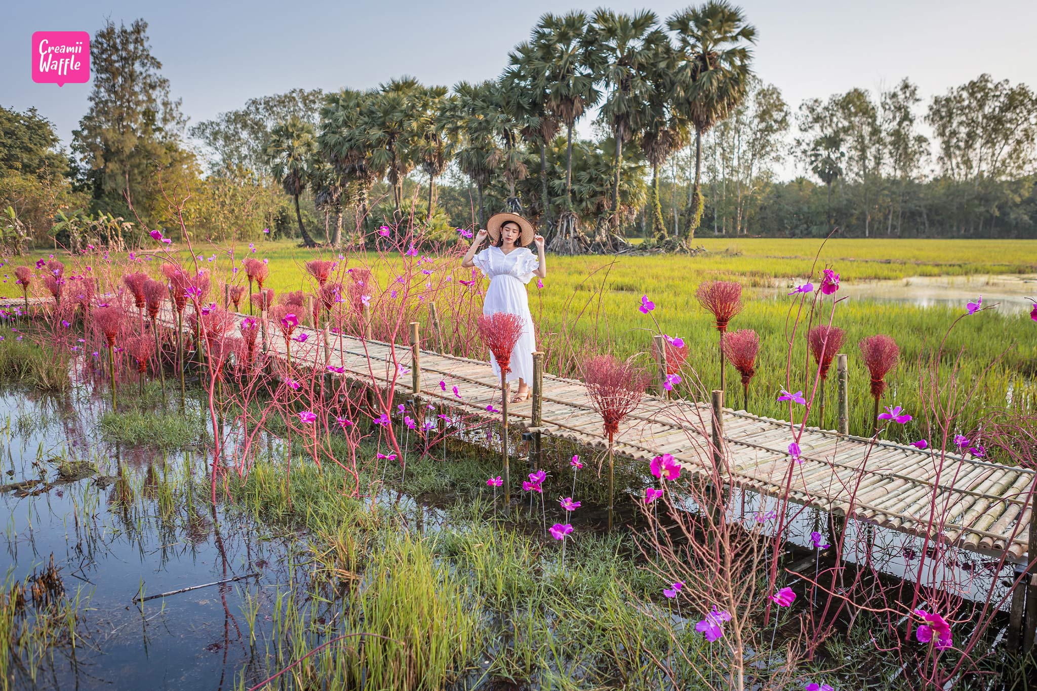 RakDok Floral Destination มหัศจรรย์แดนมาลี The Blooms Orchid Park